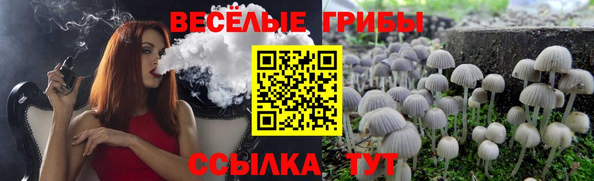 Галлюциногенные грибы мицелий Чехов
